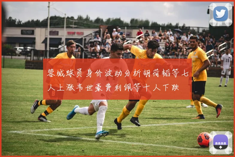 蓉城球员身价波动分析胡荷韬等七人上涨韦世豪费利佩等十人下跌